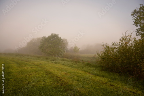 Friesischer Nebel - von strahlenden Sommermorgen bis zu milchigen Wintertagen - Frieslands sanfte Seite 23