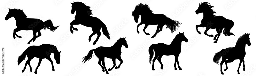 Set vector illustration of horse silhouettes  - obrazy, fototapety, plakaty 