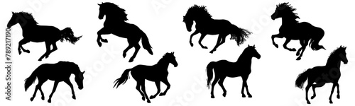 Set vector illustration of horse silhouettes 