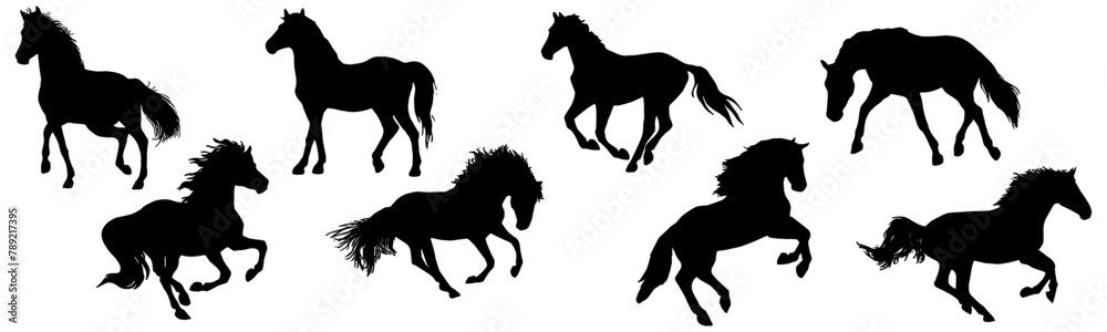 Vector of horse illustration silhouettes in a set
