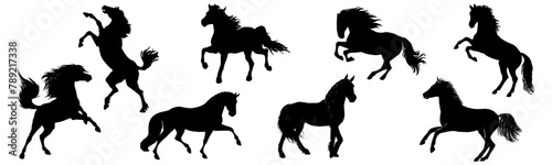 Vector illustration of horse silhouettes set