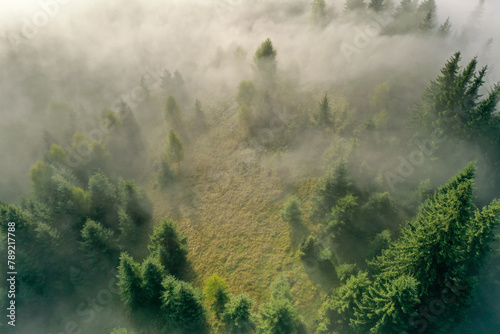 Aerial view of beautiful landscape with misty forest on autumn day