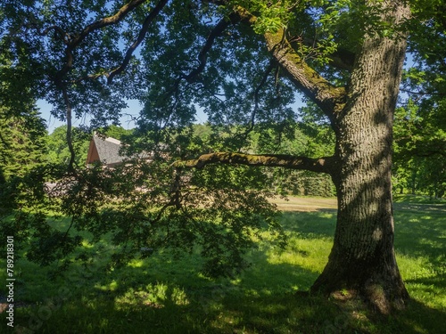 Estonia. Toila Oru Park is one of the pearls of Ida-Viru County. It's a great place to walk around.
 photo