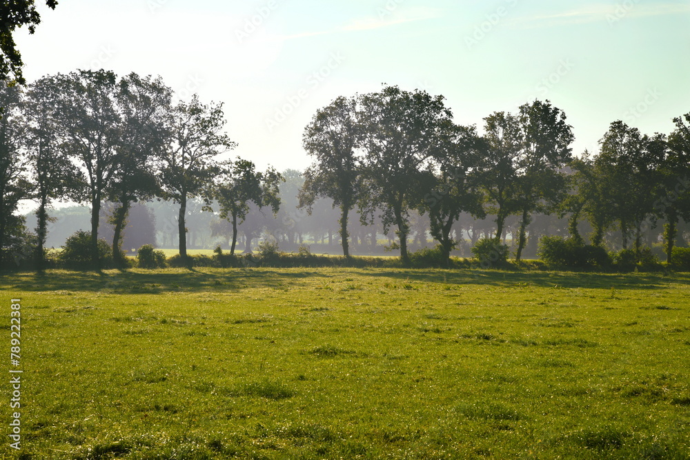 Obraz premium Friesischer Nebel - von strahlenden Sommermorgen bis zu milchigen Wintertagen - Frieslands sanfte Seite 32