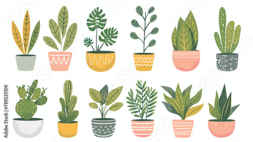 Leaf plants growing in pots set. Green houseplants in