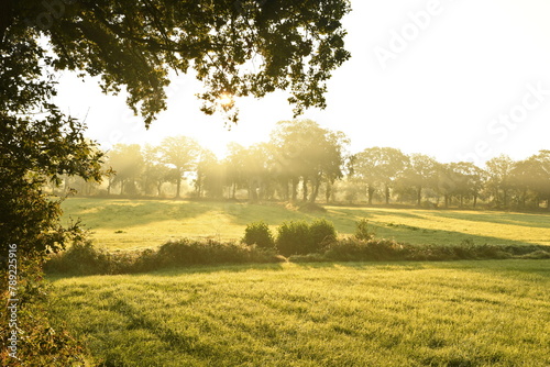 Friesischer Nebel - von strahlenden Sommermorgen bis milchigen Wintertagen - Die Morgensonne strahlt durch den sommerlichen Frühnebel 25