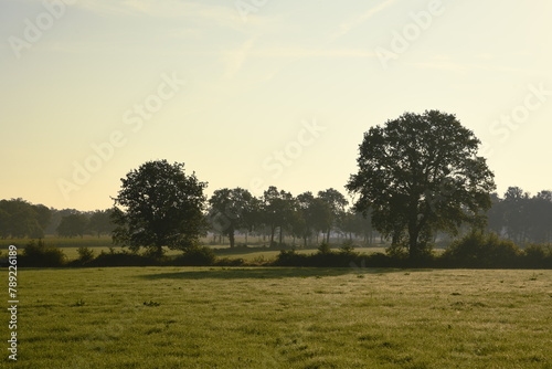 Friesischer Nebel - von strahlenden Sommermorgen bis zu milchigen Wintertagen - Frieslands sanfte Seite 39