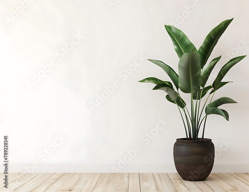 Strelitzia reginae plant in dark brown ceramic pot on wooden table against white wall background with copy space, 3d rendering , empty blank template for mock up design, photo