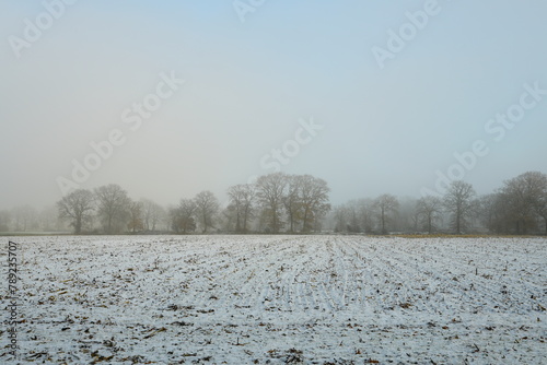 Friesischer Nebel - von strahlenden Sommermorgen bis milchigen Wintertagen - Winternebel 6