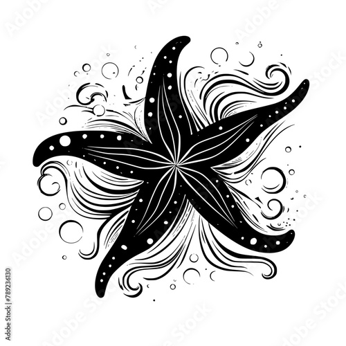 illustration of starfish