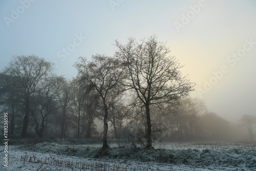Friesischer Nebel - von strahlenden Sommermorgen bis milchigen Wintertagen - Winternebel 9