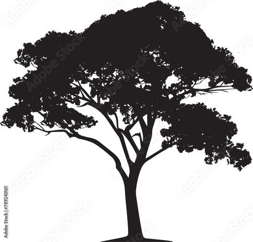tree silhouette vector black on white background  