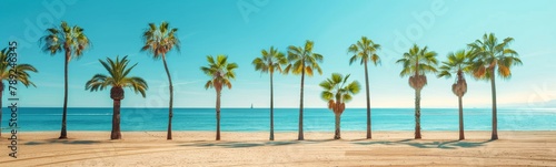 Palm trees line the beach in front of a blue ocean. Summer travel background. Banner © kramynina