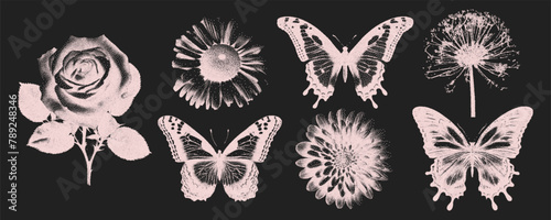 Trendy elements in retro copy style. Flower, rose, butterfly. Photocopy grain effect. Vector illustration.
