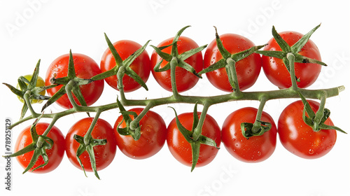 Fresh bunch tomato  with water drops, bio production isoalted on white background  photo