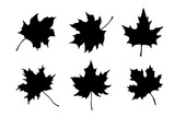 Maple leaf silhouette. Hand drawn fall illustrations set isolated. Leaves collection