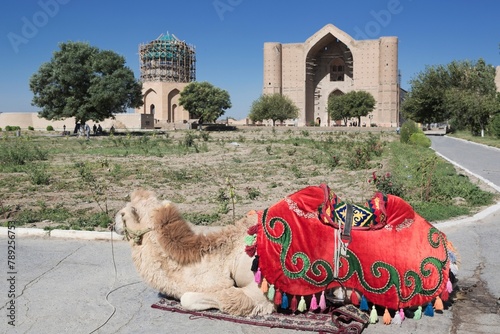 Iconic Encounter: Camel in Front of Khoja Ahmed Yasawi's Mausoleum, in Full 4K Image photo