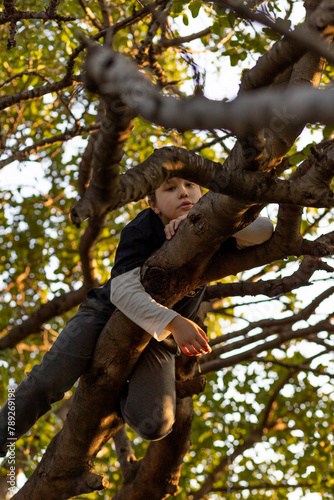 Obraz na płótnie The boy climbed a tree. The child sat on the branches of a tree. w salonie