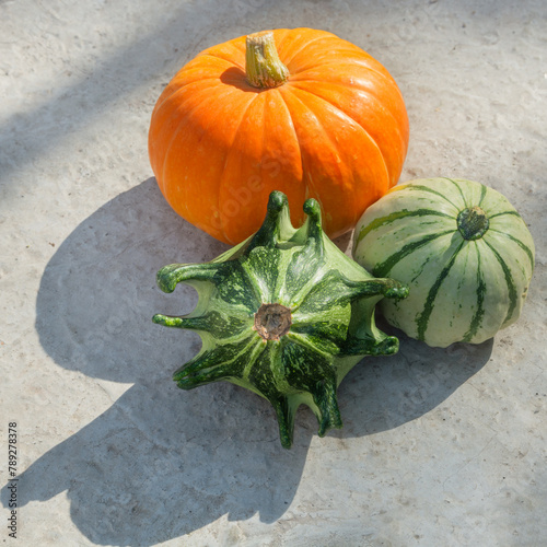 One orange and two green decorative pumpkins lie on a gray concrete background. Concept of variety of pumpkin varieties