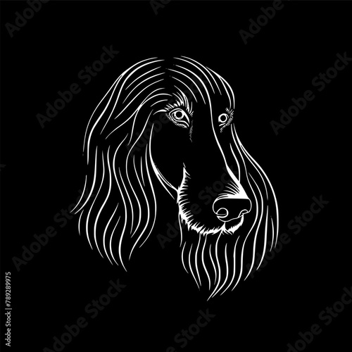 Afghan Hound - High Quality Vector Logo - Vector illustration ideal for T-shirt graphic