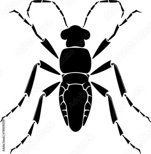 Ant | Black and White Vector illustration