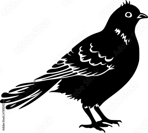 Pigeon - High Quality Vector Logo - Vector illustration ideal for T-shirt graphic