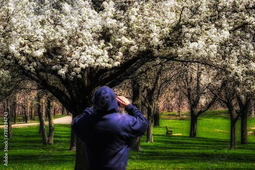 My wife stops to take a photo with her cell phone.  Woman photographs the Dogwood Trees that are in Full Bloom here at Otsiningo Park in Binghamton NY.  A Warm Spring day but with a Chilly Wind.
