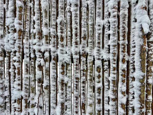 Winter fence