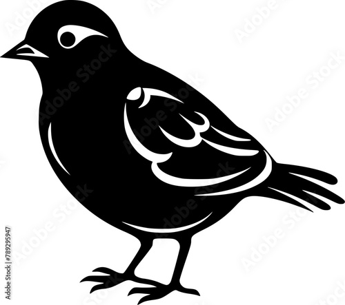 Pigeon | Black and White Vector illustration