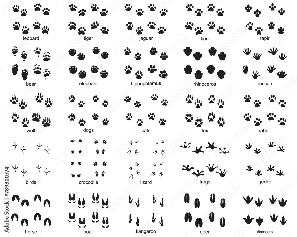 Set of footprints of wild animals, illustration of black silhouette Set of footprints of wild animals, illustration of black silhouette