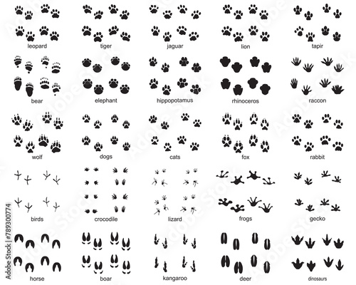 Set of footprints of wild animals, illustration of black silhouette