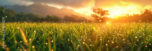 Close up of grass field with setting sun suitable for naturethemed designs, inspirational content, backgrounds, and relaxationthemed projects. photo