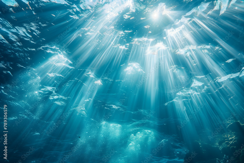 Fototapeta premium Beautiful underwater view, of sunlight shining through the clear water