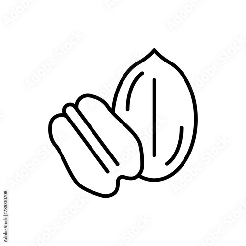 Pecan nut outline icons, minimalist vector illustration ,simple transparent graphic element .Isolated on white background