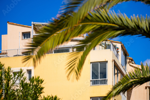 resort architecture with palm tree leaf - Cap d'Agde, France © Seiji 345