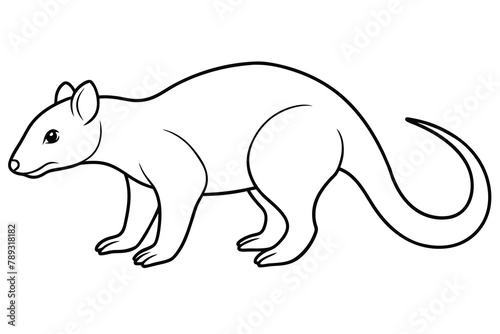 Silky anteater line art vector illustration photo