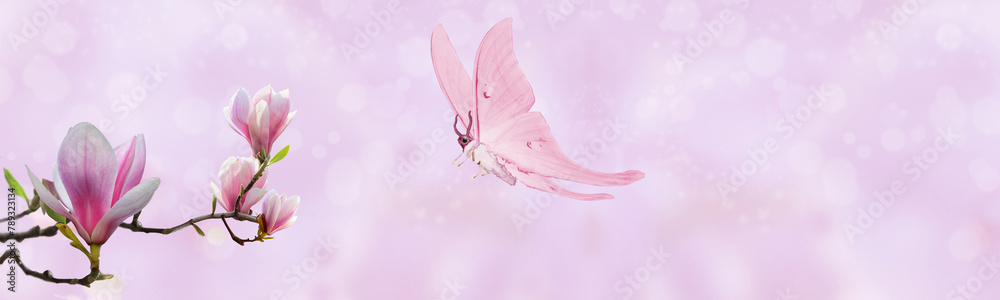 magnolia branch and a pink butterfly magnolia branch and a pink butterfly