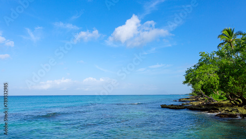 Palm trees on tropical beach with blue sky and white clouds . Travel background.
