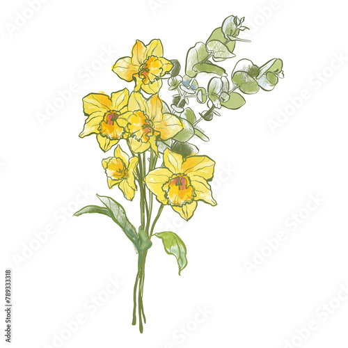 Oil painting abstract bouquet of eucalyptus and narcissus. Hand painted floral composition of wildflower isolated on white background. Holiday Illustration for design, print, fabric or background. (ID: 789333318)