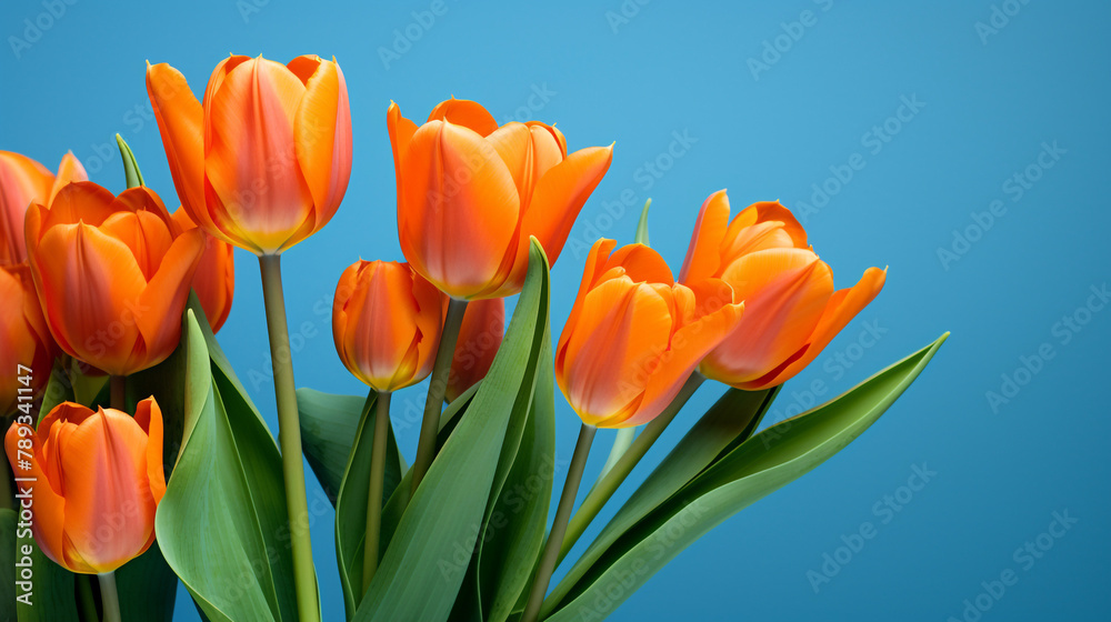orange tulips on a blue background, natural lighting сreated with Generative Ai orange tulips on a blue background, natural lighting сreated with Generative Ai