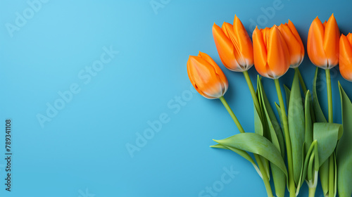 orange tulips on a blue background, natural lighting сreated with Generative Ai #789341108