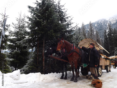 Horses in Morskie Oko, or Eye of the Sea, is the largest and fourth deepest lake in the Tatra Mountains in southern Poland. It is located deep in the Tatra National Park, in the Rybi Potok Valley