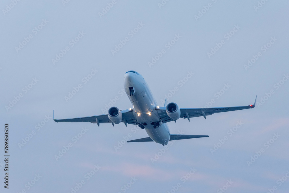 Naklejka premium 羽田空港を飛び立つ飛行機