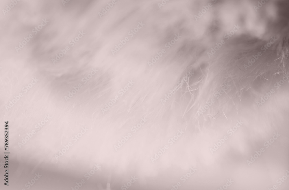 Clay Pink Abstract Creative Background Design Clay Pink Abstract Creative Background Design