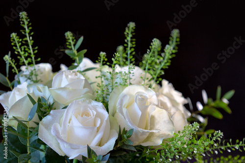 White roses with green leaves isolated on black background . © Swetlana Wall