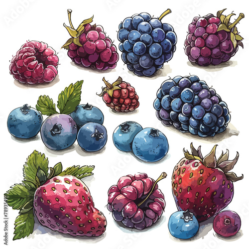 stickers set of  berries fruits