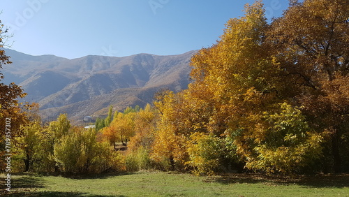 hakkari   emdinli y  ksekova van iznik  dalyan manzaralar    waterfall  mountain  Lake Van  lake  snow  winter  nature  landscape  livestock farming  horse  cow  sea