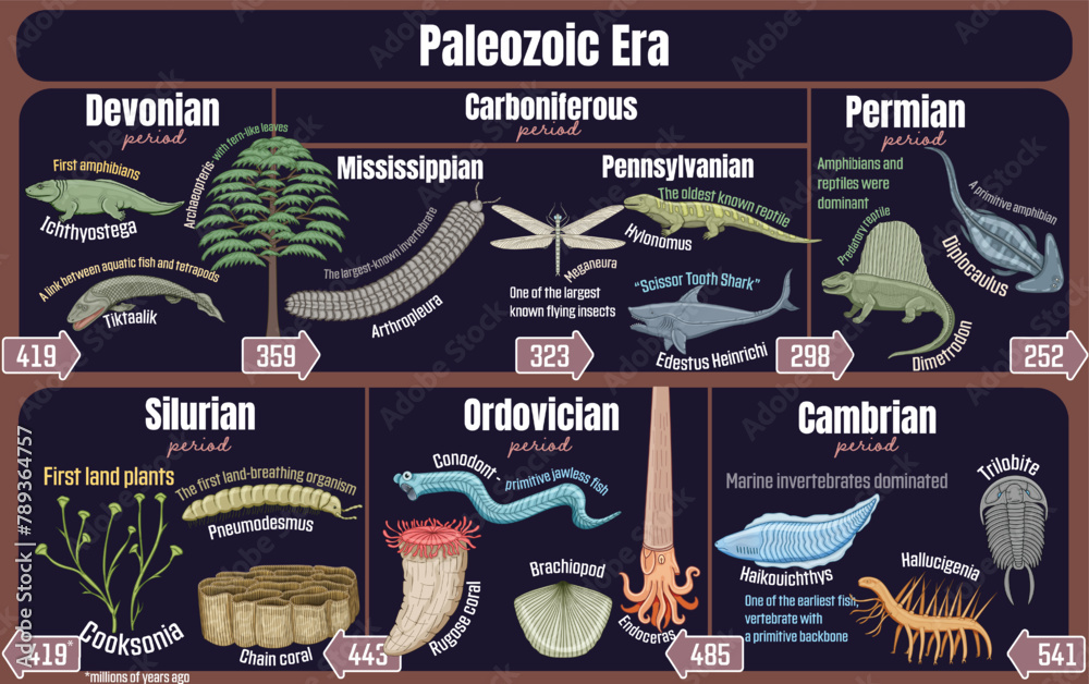 Paleozoic Era: Geological timeline spanning from the Cambrian to Permian period. - obrazy, fototapety, plakaty 