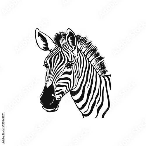 Detailed Zebra Head Black and White Hand drawn style. Vector illustration design