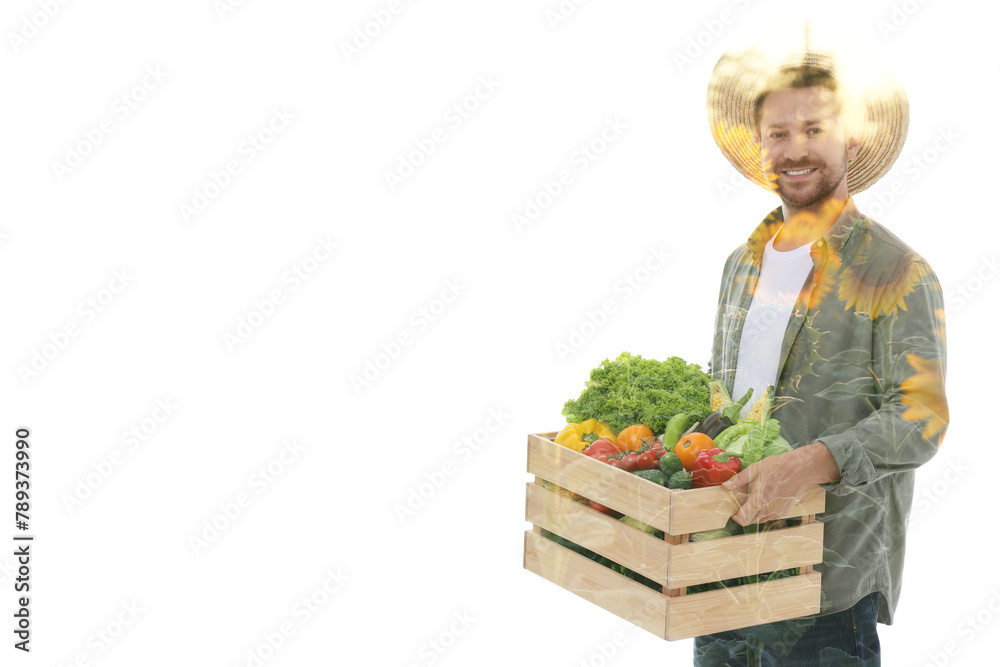 Double exposure of happy farmer and sunflower field on white background Double exposure of happy farmer and sunflower field on white background